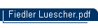 Fiedler Luescher.pdf