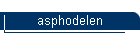 asphodelen